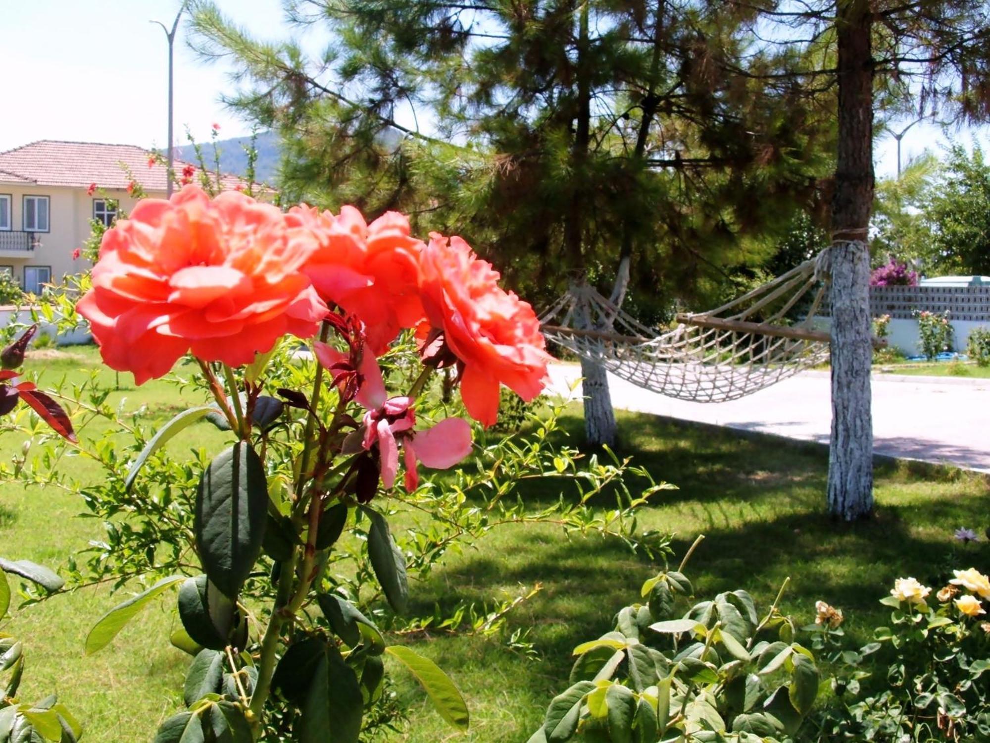 Gurkan Apart Hotel Dalyan Exterior foto