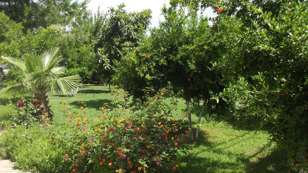 Gurkan Apart Hotel Dalyan Exterior foto